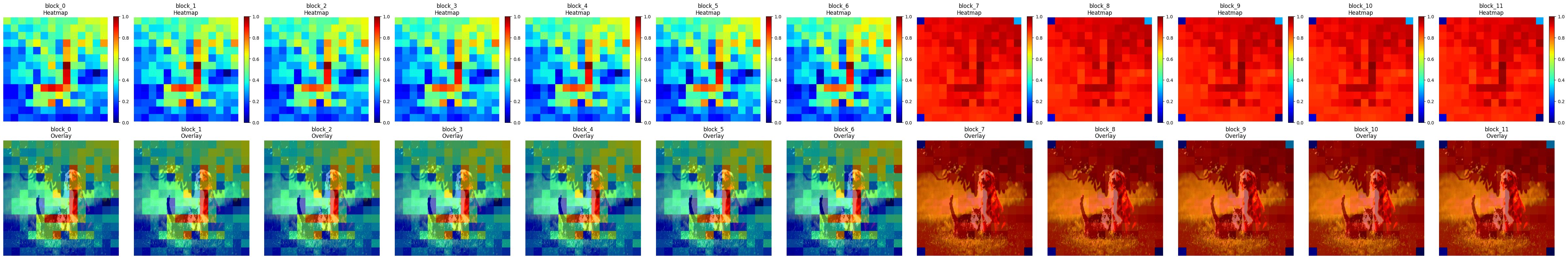 Activation Maps Propogation over the layers
