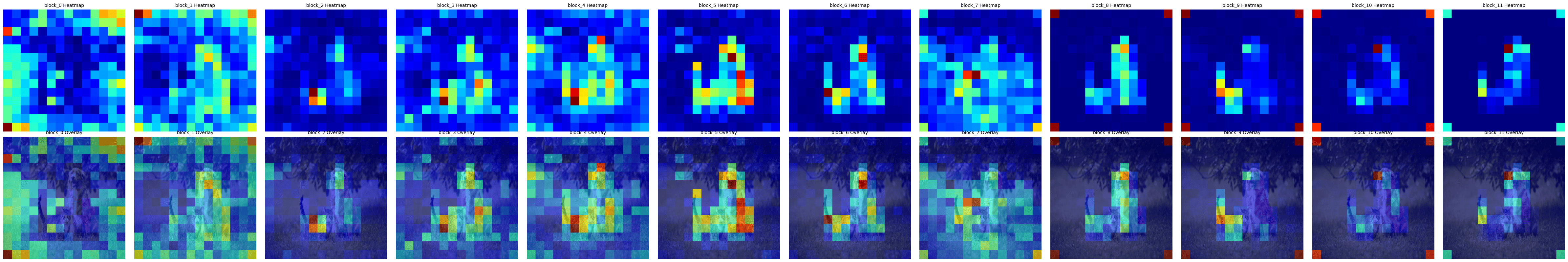 Attention Maps Propogation over the layers