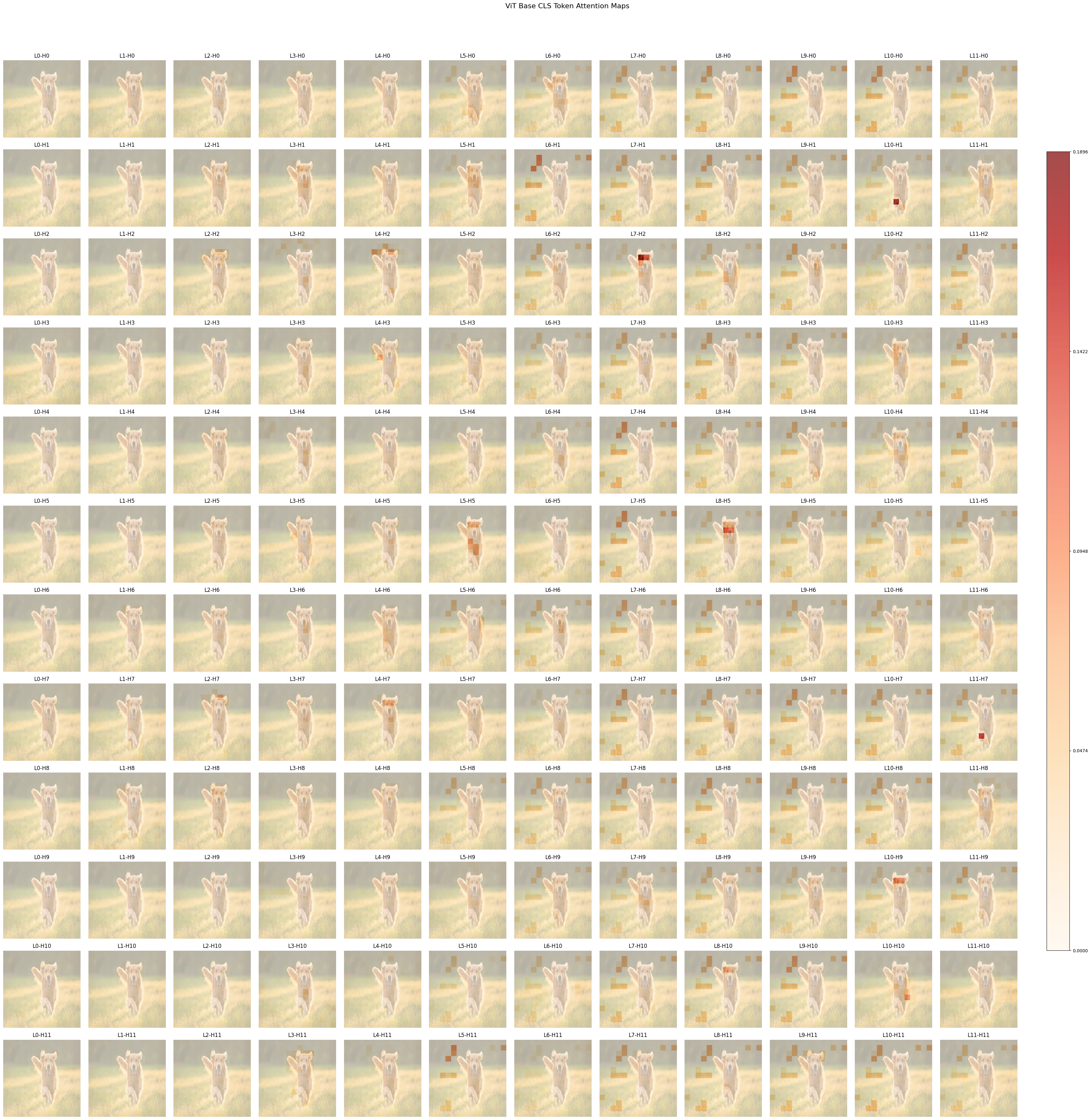 👁️ Evaluation Tool for Vision Encoder Explainability Methods